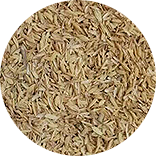 Rice Husk